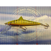 Van Bruchem Pluggenbouw Shark